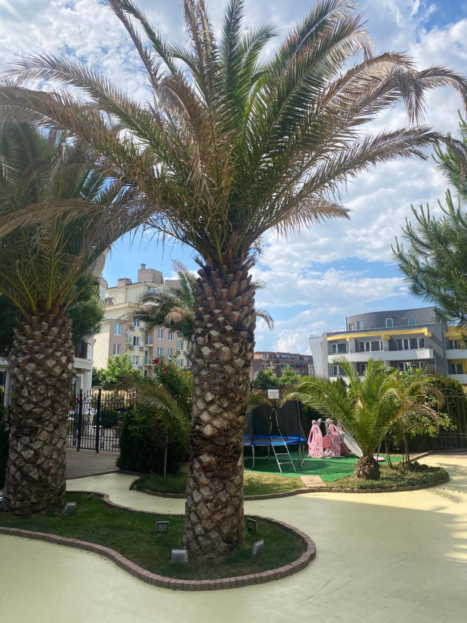 Messembria B504 Studio Sunny Beach Exterior photo